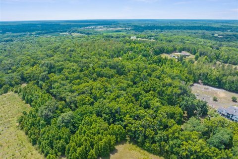 Land in Brooksville, Florida № 1773606 - photo 14