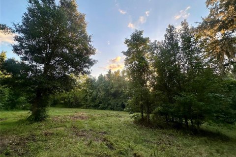 Land in Brooksville, Florida № 1773606 - photo 26