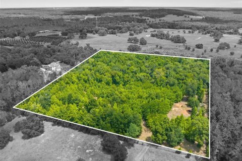Land in Brooksville, Florida № 1773606 - photo 7