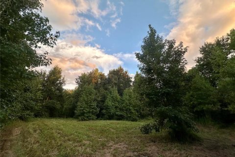 Land in Brooksville, Florida № 1773606 - photo 20