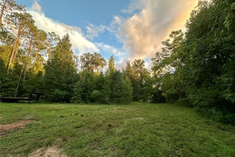 Land in Brooksville, Florida № 1773606 - photo 2