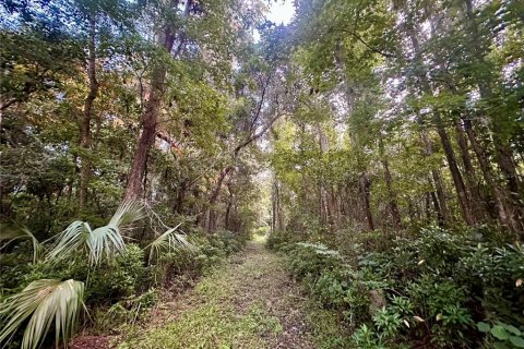 Land in Brooksville, Florida № 1773606 - photo 19