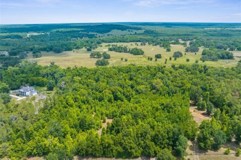 Land in Brooksville, Florida № 1773606 - photo 11
