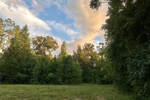 Land in Brooksville, Florida № 1773606 - photo 23
