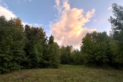 Land in Brooksville, Florida № 1773606 - photo 21
