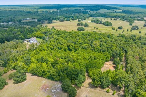Land in Brooksville, Florida № 1773606 - photo 17