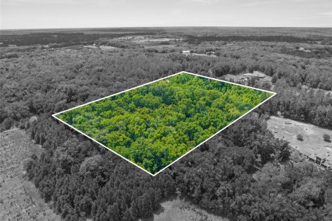 Land in Brooksville, Florida № 1773606 - photo 16
