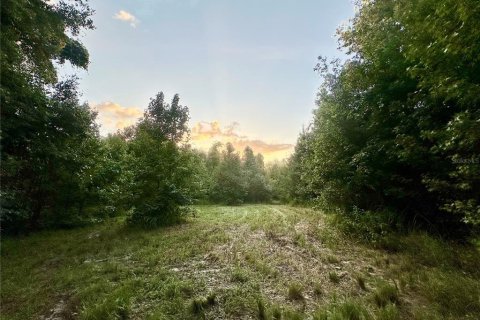 Land in Brooksville, Florida № 1773606 - photo 22