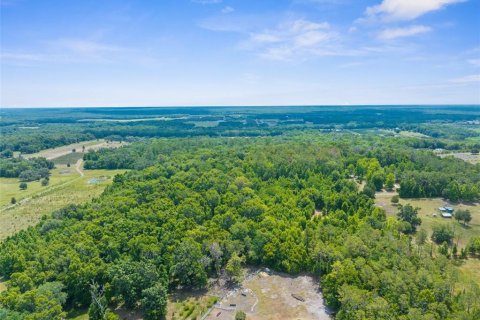 Land in Brooksville, Florida № 1773606 - photo 13