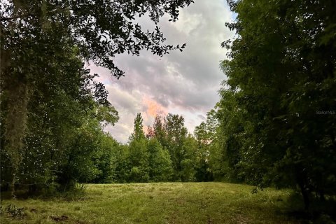 Land in Brooksville, Florida № 1773606 - photo 1