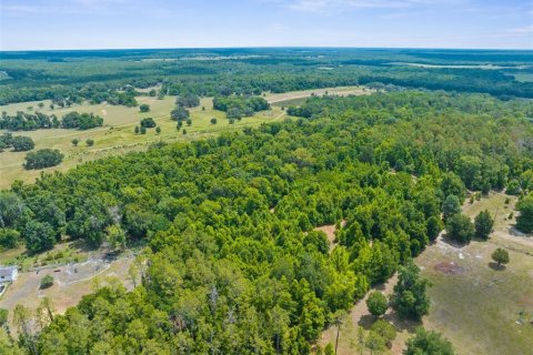 Land in Brooksville, Florida № 1773606 - photo 12