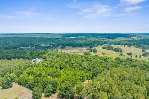 Land in Brooksville, Florida № 1773606 - photo 9