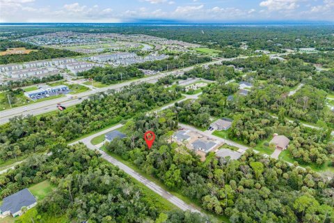 Land in Port Charlotte, Florida № 2284247 - photo 10