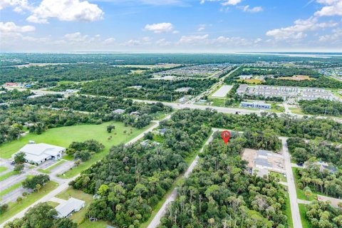 Land in Port Charlotte, Florida № 2284247 - photo 7