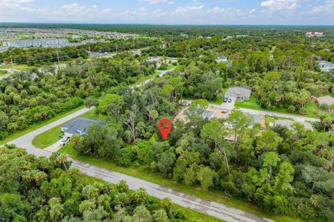 Land in Port Charlotte, Florida № 2284247 - photo 4