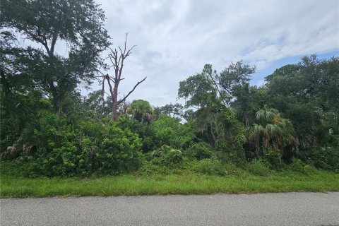 Land in Port Charlotte, Florida № 2284247 - photo 11