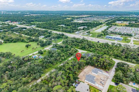 Land in Port Charlotte, Florida № 2284247 - photo 9