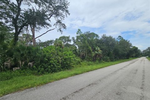 Land in Port Charlotte, Florida № 2284247 - photo 13