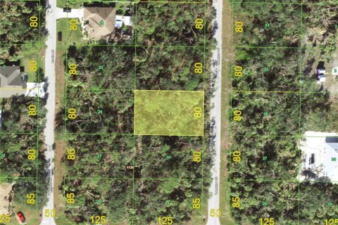 Land in Port Charlotte, Florida № 2284247 - photo 14