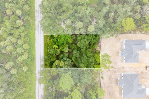 Land in Port Charlotte, Florida № 2284247
