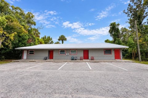 Immobilier commercial à vendre à Gainesville, Floride: 275.55 m2 № 2396831 - photo 4
