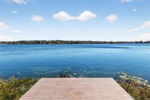 Casa en venta en Mount Dora, Florida, 3 dormitorios, 259.01 m2 № 2204689 - foto 7