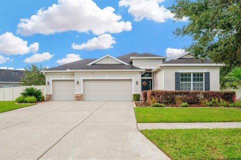 Villa ou maison à vendre à Fish Hawk, Floride: 4 chambres, 215.44 m2 № 1815549 - photo 1