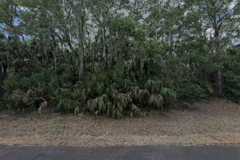Land in Port Charlotte, Florida № 2228736 - photo 3