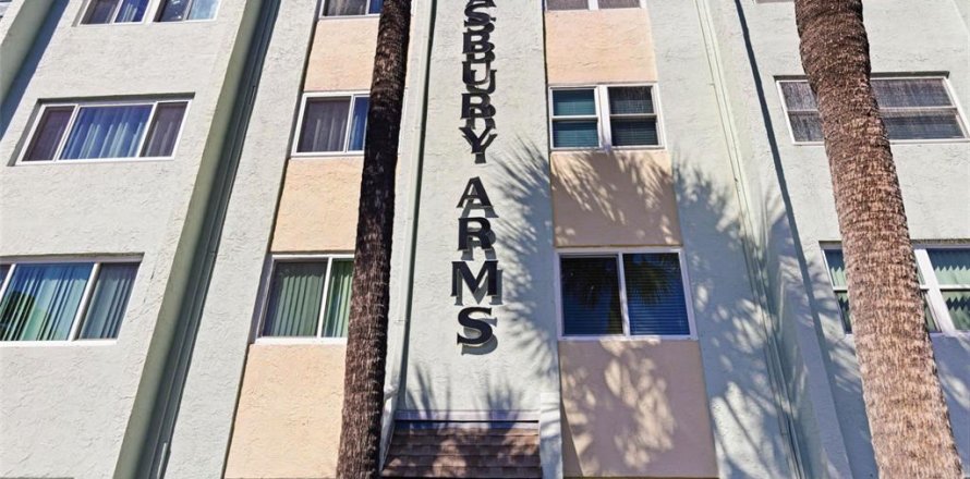 Condominio en Saint Petersburg, Florida, 2 dormitorios  № 2099079