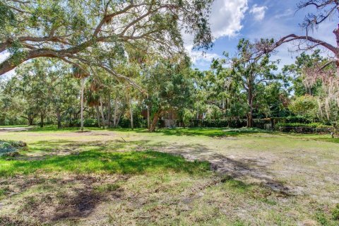 Land in Tampa, Florida № 1900782 - photo 16
