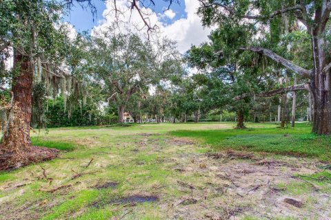 Land in Tampa, Florida № 1900782 - photo 13