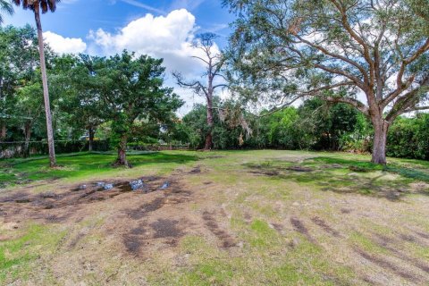 Land in Tampa, Florida № 1900782 - photo 12