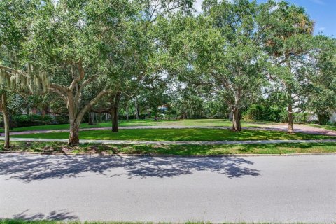 Land in Tampa, Florida № 1900782 - photo 1