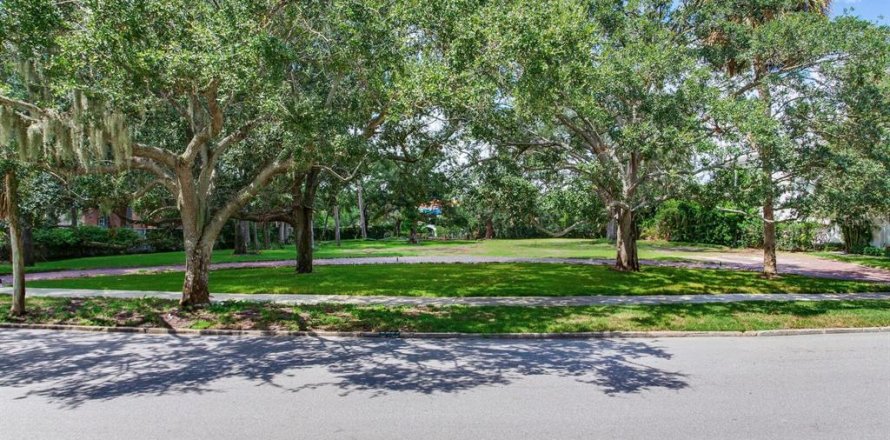 Land in Tampa, Florida № 1900782