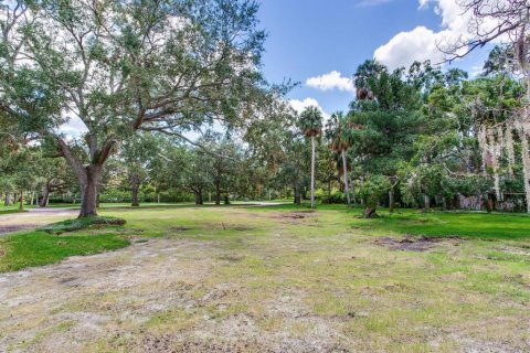 Land in Tampa, Florida № 1900782 - photo 15