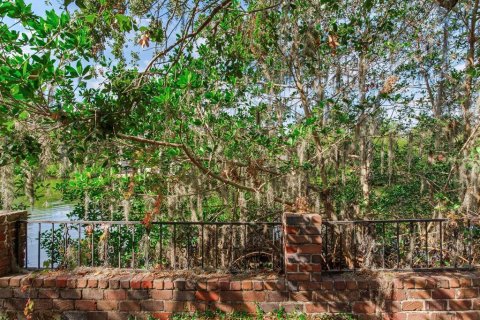 Land in Tampa, Florida № 1900782 - photo 18