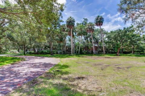 Land in Tampa, Florida № 1900782 - photo 9