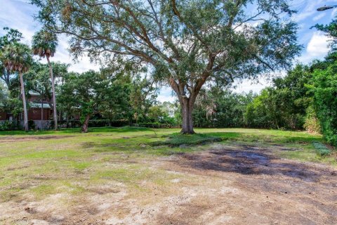 Land in Tampa, Florida № 1900782 - photo 14