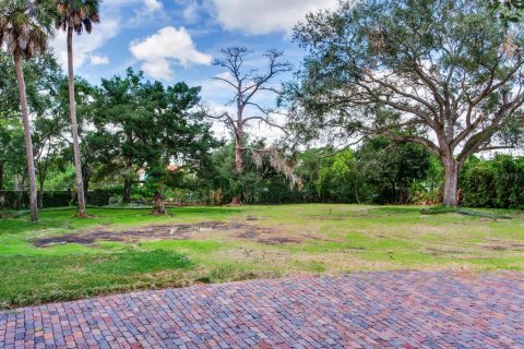 Land in Tampa, Florida № 1900782 - photo 11