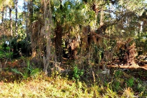 Land in North Port, Florida № 2165247 - photo 4