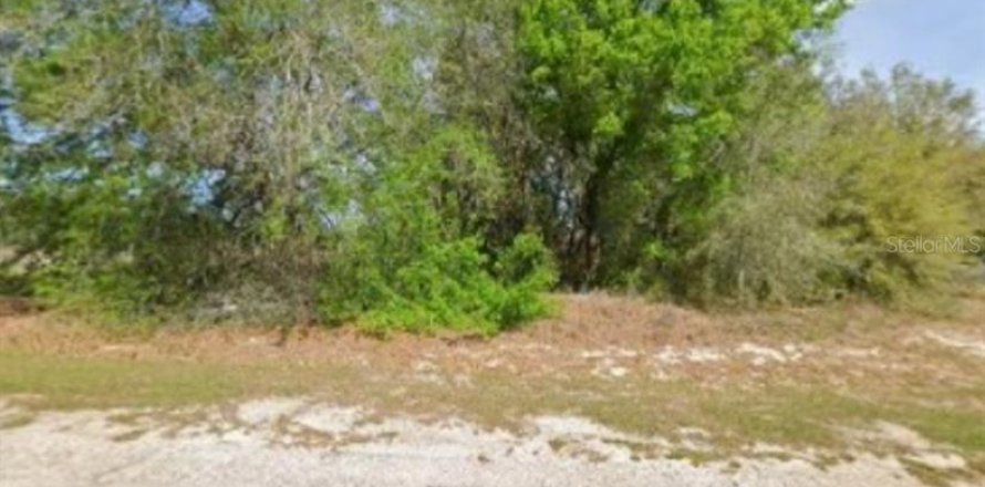 Terrain à Dunnellon, Floride № 2211567