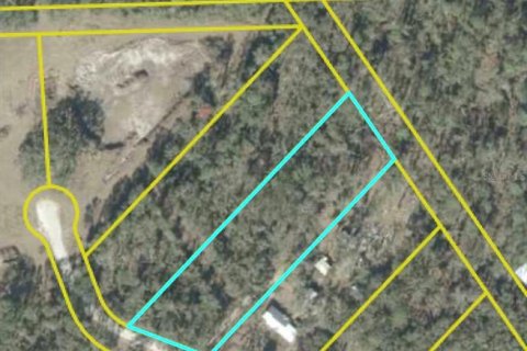 Land in Mayo, Florida № 2351787