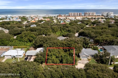 Land in Ponce Inlet, Florida № 801449 - photo 1