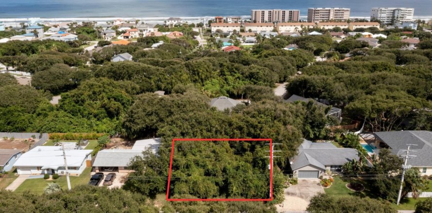 Land in Ponce Inlet, Florida № 801449
