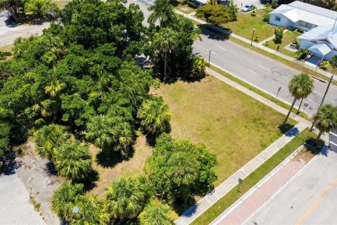 Terrain à vendre à Punta Gorda, Floride № 2150567 - photo 4