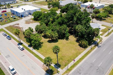 Terrain à Punta Gorda, Floride № 2150567