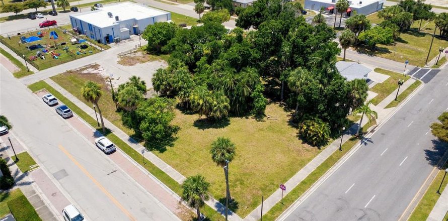 Terrain à Punta Gorda, Floride № 2150567