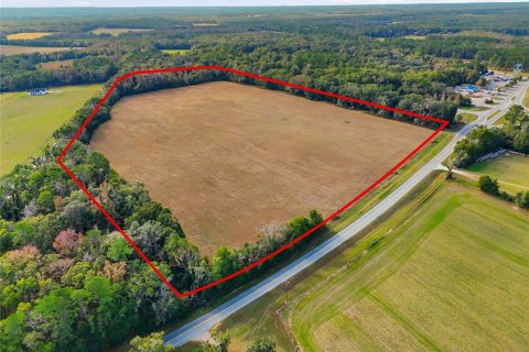 Land in Alachua, Florida № 2218425
