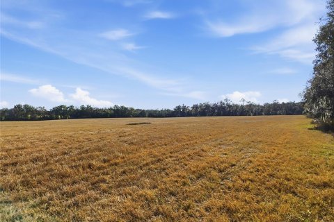 Terrain à vendre à Alachua, Floride № 2218425 - photo 6