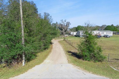 Land in Apopka, Florida № 2115374 - photo 13